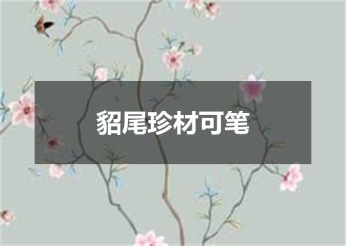 貂尾珍材可笔