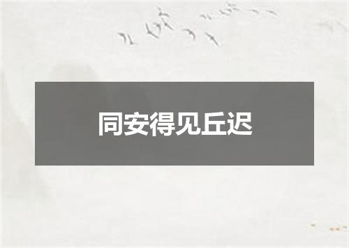 同安得见丘迟