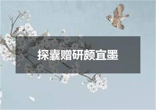 探囊赠研颇宜墨