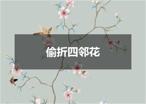 偷折四邻花