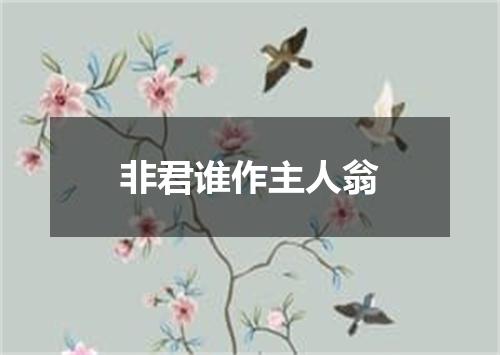 非君谁作主人翁