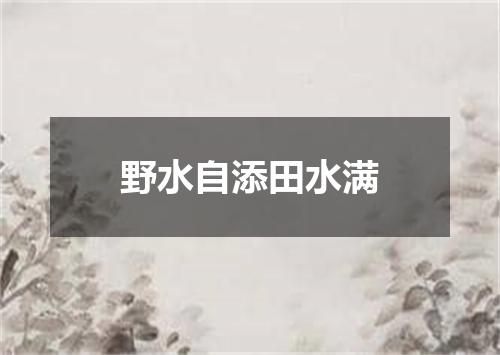 野水自添田水满