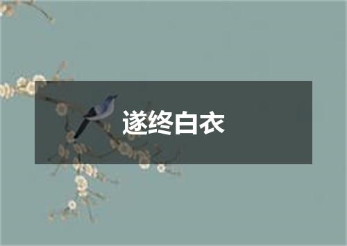 遂终白衣