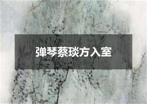 弹琴蔡琰方入室