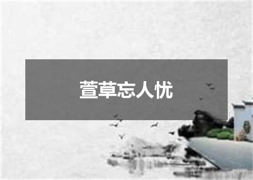 萱草忘人忧