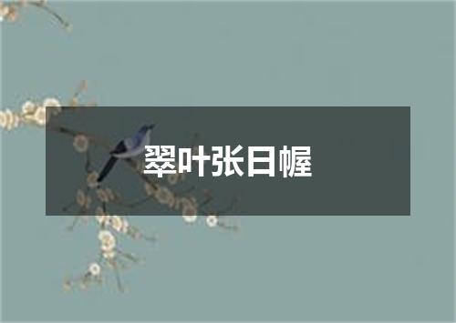 翠叶张日幄