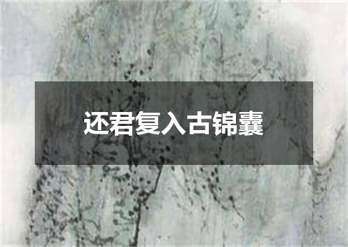 还君复入古锦囊