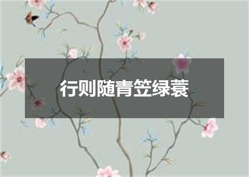行则随青笠绿蓑