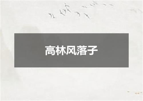 高林风落子
