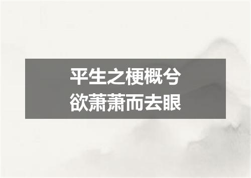 平生之梗概兮欲萧萧而去眼