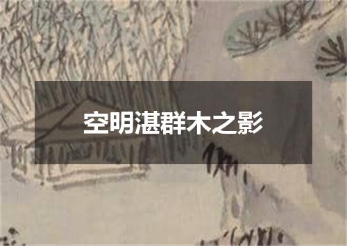 空明湛群木之影