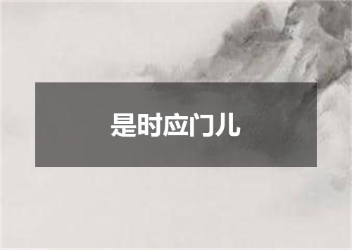 是时应门儿