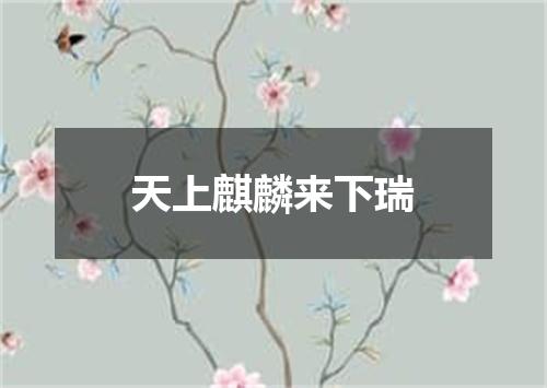 天上麒麟来下瑞