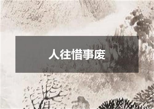人往惜事废