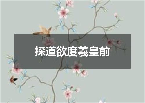 探道欲度羲皇前