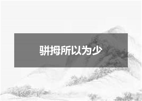 骈拇所以为少