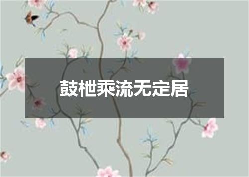 鼓枻乘流无定居