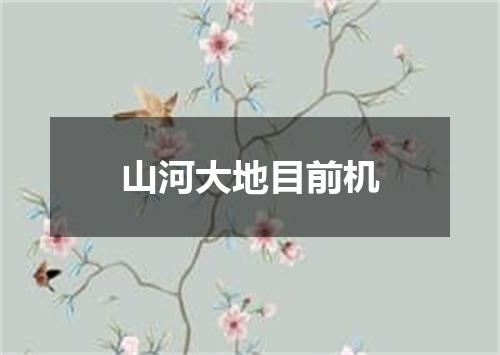 山河大地目前机