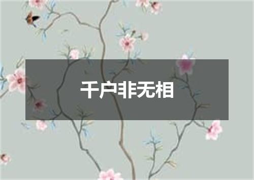 千户非无相
