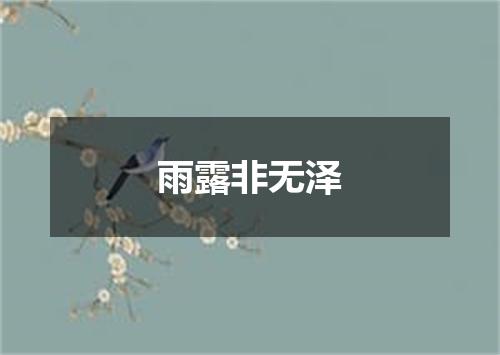 雨露非无泽