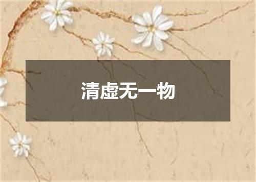 清虚无一物