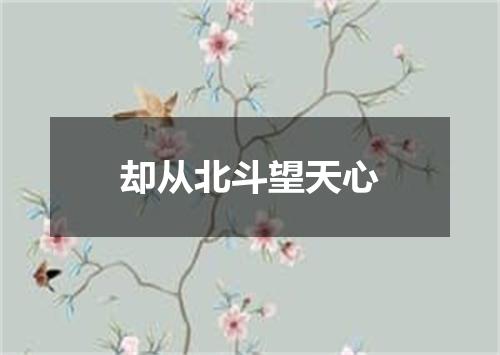 却从北斗望天心