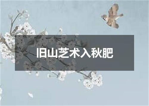 旧山芝术入秋肥