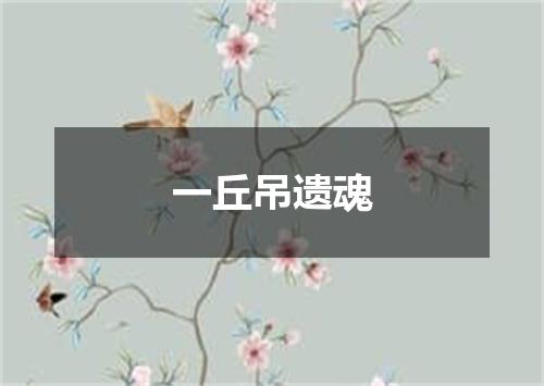一丘吊遗魂