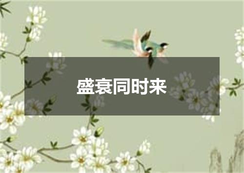 盛衰同时来