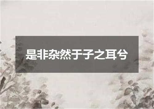 是非杂然于子之耳兮
