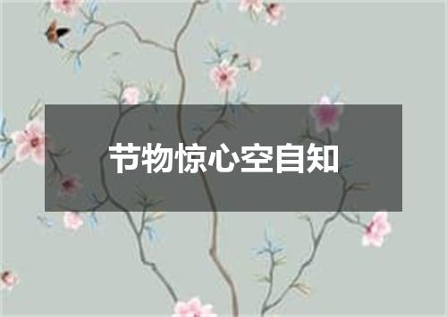 节物惊心空自知