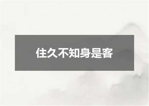 住久不知身是客