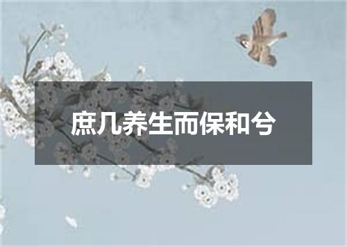 庶几养生而保和兮