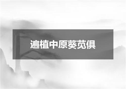 遍植中原葵苋俱