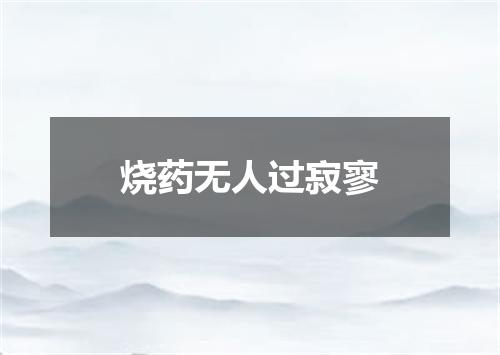 烧药无人过寂寥