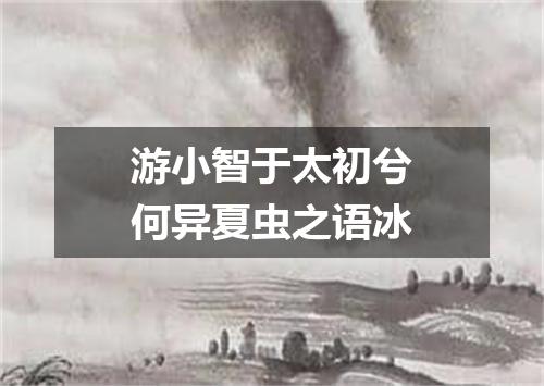 游小智于太初兮何异夏虫之语冰