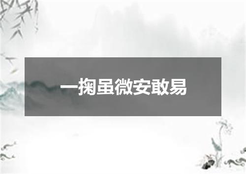 一掬虽微安敢易