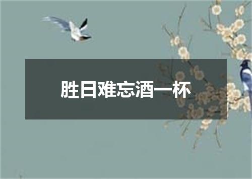 胜日难忘酒一杯