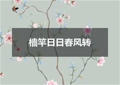 樯竿日日春风转