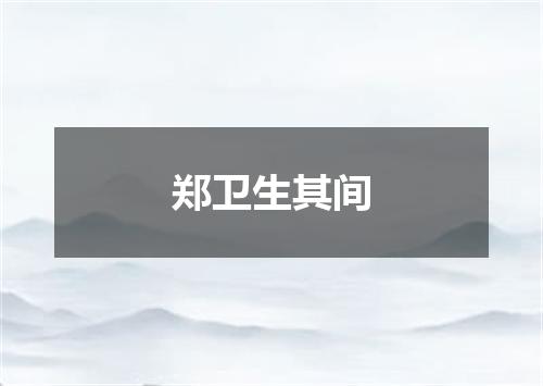 郑卫生其间