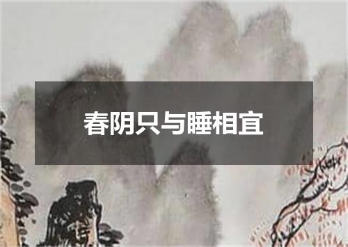 春阴只与睡相宜
