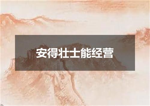 安得壮士能经营