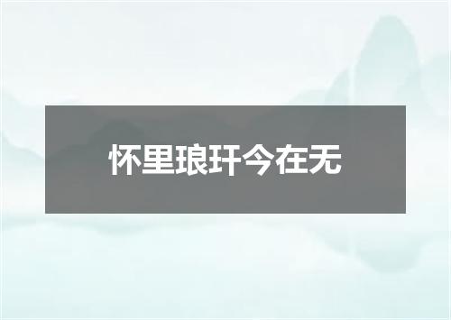 怀里琅玕今在无