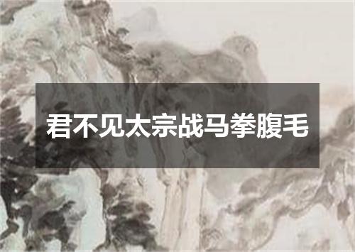 君不见太宗战马拳腹毛