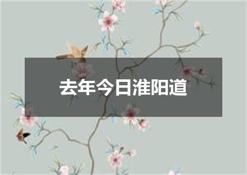 去年今日淮阳道