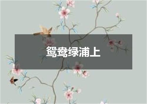 鸳鸯绿浦上