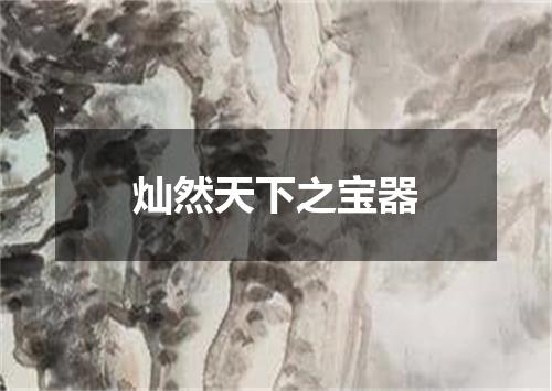 灿然天下之宝器