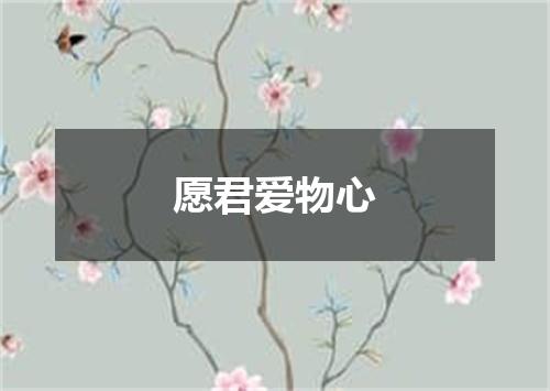 愿君爱物心
