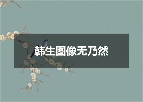 韩生图像无乃然