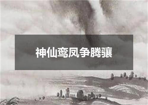 神仙鸾凤争腾骧